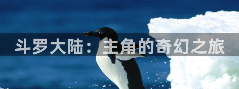 漫蛙18