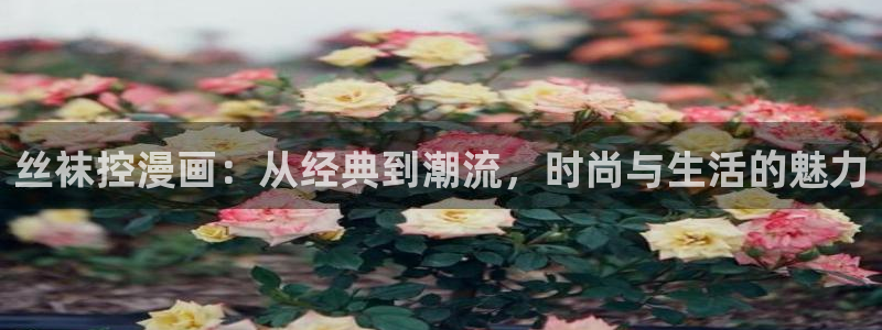 漫蛙版本大全