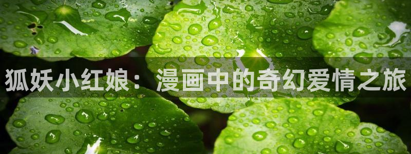 漫蛙2漫画官网app