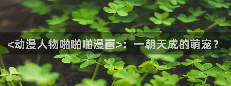 漫蛙首页入口