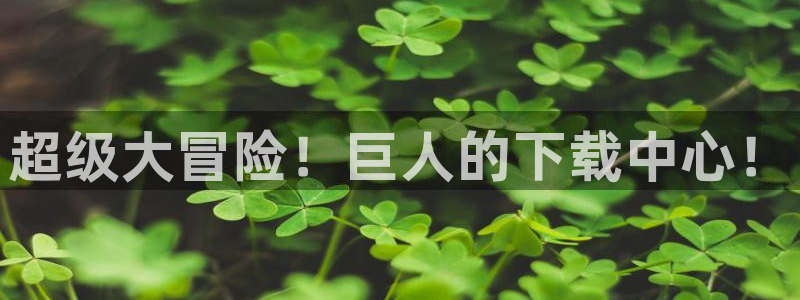 漫蛙下载链接正版官网