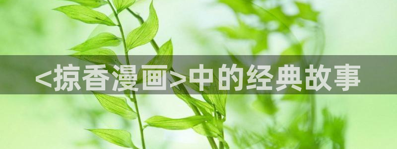 漫蛙漫画官网在线阅读