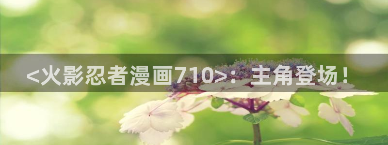 漫蛙漫画平台官网入口