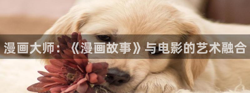 漫蛙(网页入口)