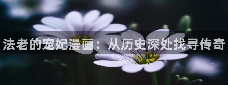 漫蛙manwa2正版下载