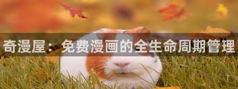 怎么下漫蛙2