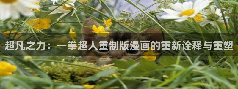 漫蛙 在线