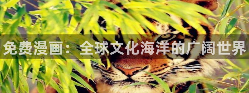 漫蛙漫画免费下载在哪