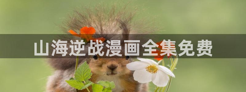 漫蛙漫画(网页入口)漫蛙manwa2官网_