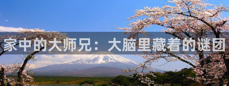 漫蛙.